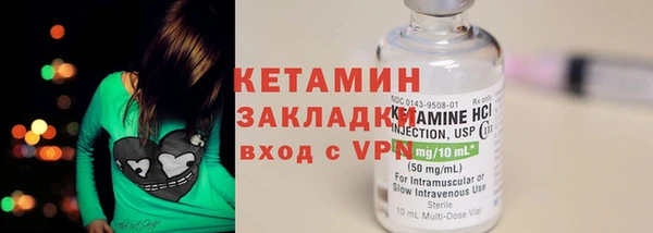 индика Нея