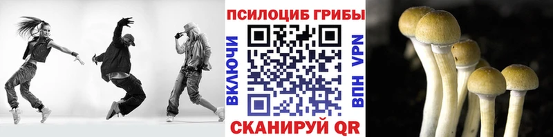 что такое   Славск  гидра онион  Псилоцибиновые грибы Cubensis 